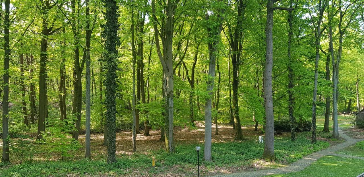 Апартаменты Ceder 104 Aan de Wolfsberg Экстерьер фото